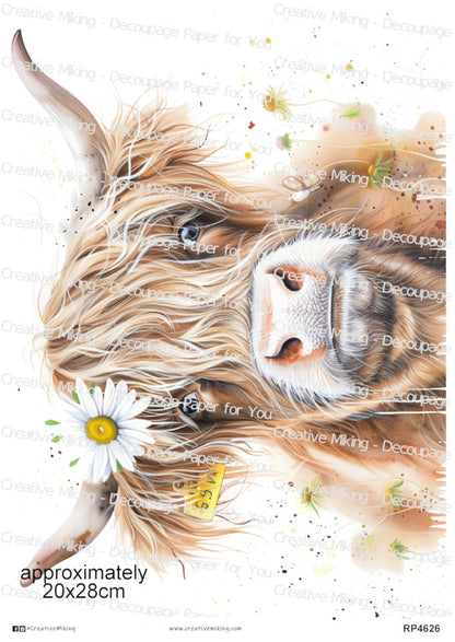 Highland Cow With Daisy Flower Decoupage Paper | RP4626