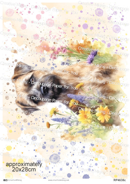 Border Terrier Dog With Flowers Watercolor Splash Decoupage Paper | RP4638c