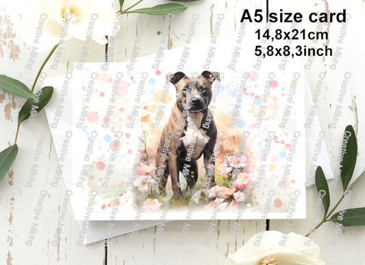 RP4644a - Staffordshire Bull Terrier