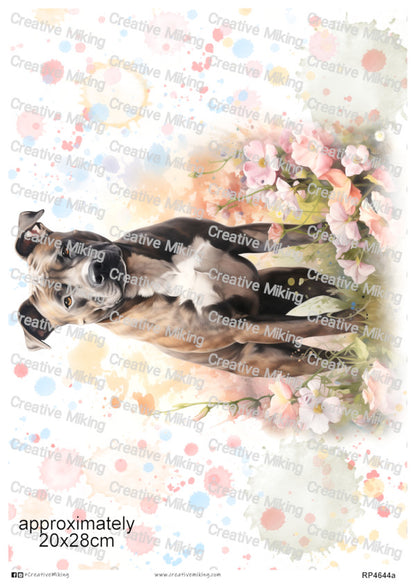 RP4644a - Staffordshire Bull Terrier