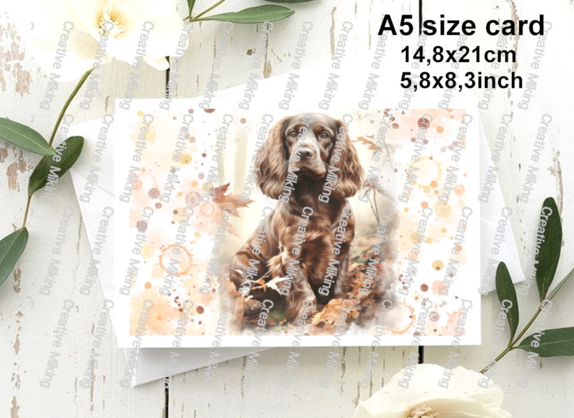 RP4658a - Cocker Spaniel