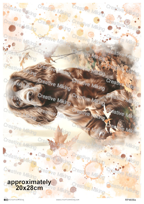 RP4658a - Cocker Spaniel