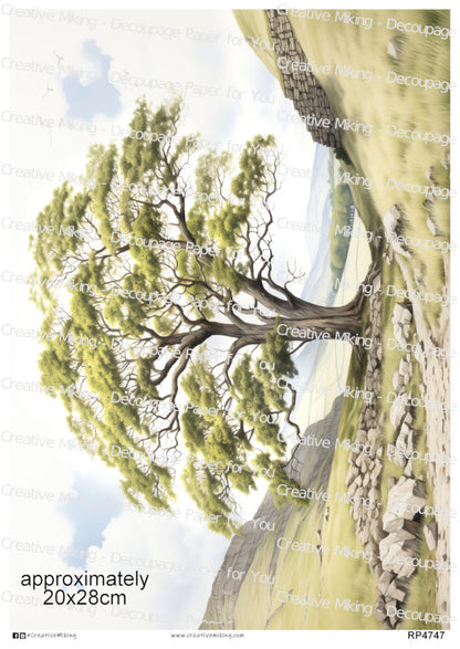 Lone Tree In English Countryside Decoupage Rice Paper | RP4747