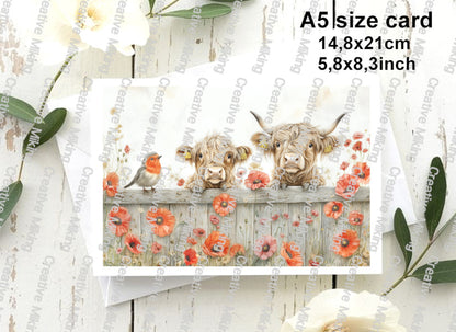 RP4875a - Highland Cows with Robin