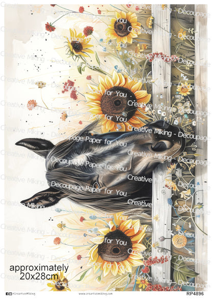 Black Horse And Sunflowers By A Wooden Fence Decoupage Rice Paper | RP4896