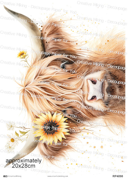 Highland Cow With Sunflowers Decoupage Paper | RP4898