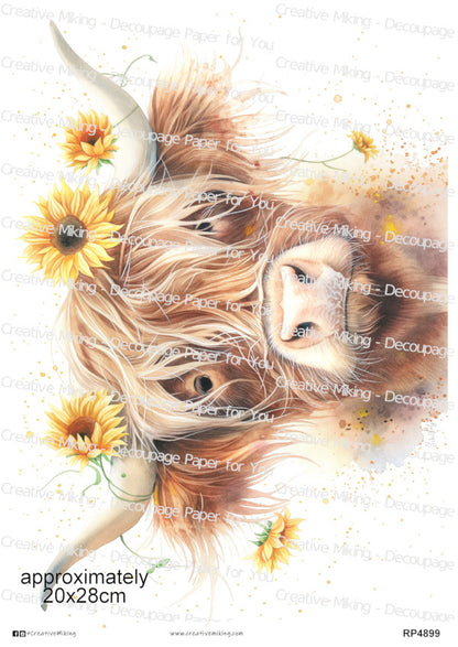 Highland Cow With Sunflowers Decoupage Rice Paper | RP4899