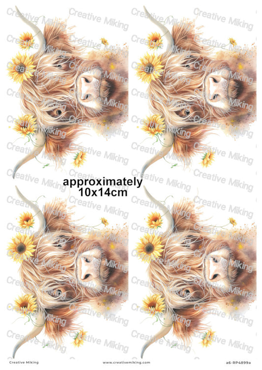 Highland Cow With Sunflowers Decoupage Paper | RP4899a