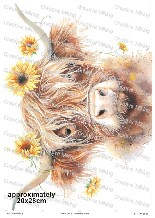 Highland Cow With Sunflowers Decoupage Paper | RP4899a