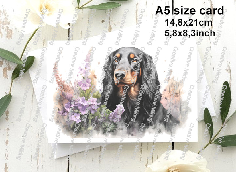 RP4917 - Gordon Setter