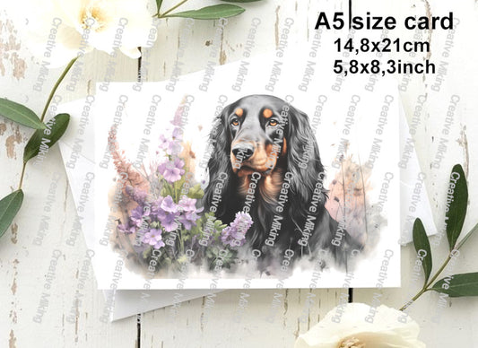 RP4917 - Gordon Setter