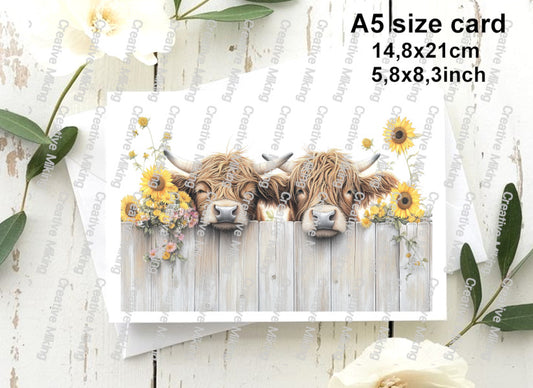 RP4927 - Highland Cows Peeking Over a Fence