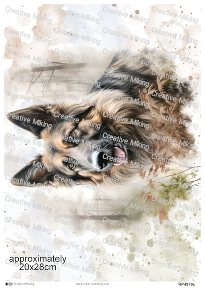 German Shepherd Dog Watercolor Splashes Decoupage Paper | RP4979c