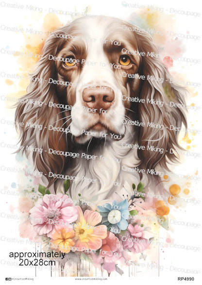 Springer Spaniel Dog Portrait Decoupage Paper | RP4990