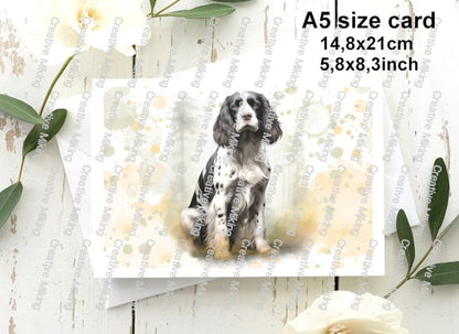 RP4991b - Springer Spaniel