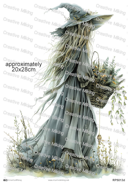 RP5013d