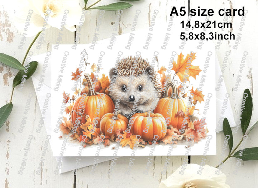 RP5023b - Hedgehog between Pumpkins