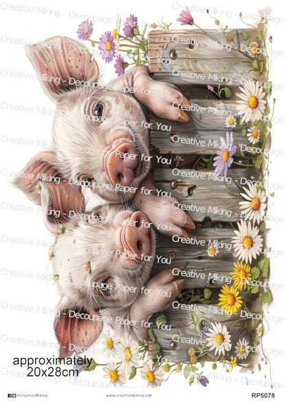 Pigs Peeking Over Wooden Fence Among Flowers Decoupage Rice Paper | RP5078
