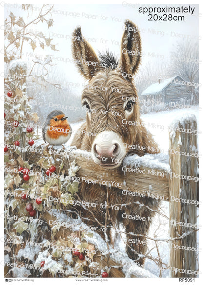 RP5091 - Donkey with Robin