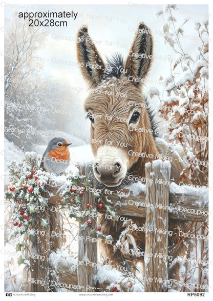 RP5092 - Donkey with Robin