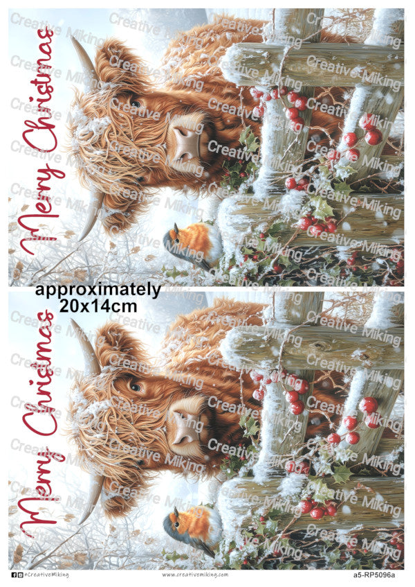RP5096a - Highland Cow with Robin - "Merry Christmas"