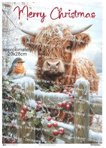 RP5096a - Highland Cow with Robin - "Merry Christmas"
