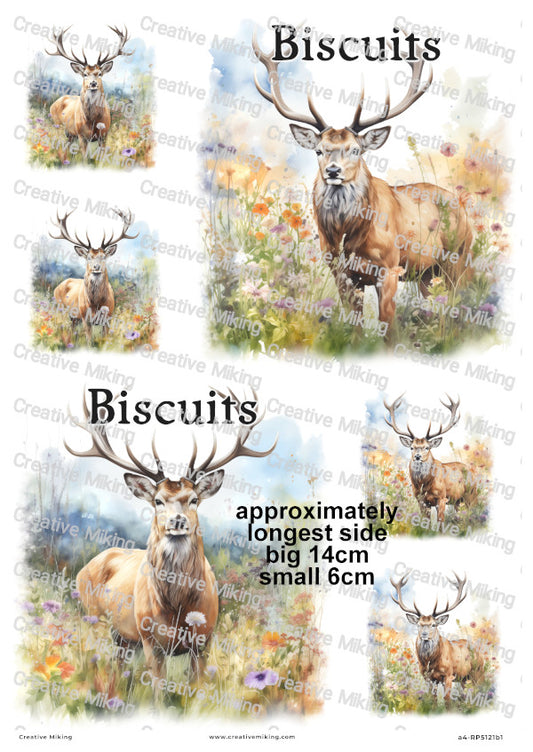 Stag in Wildflowers Kitchen Labels Decoupage Rice Paper – Biscuits | RP5121b1