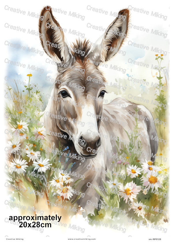 Donkey Among Daisies In Countryside Meadow Decoupage Rice Paper | RP5125