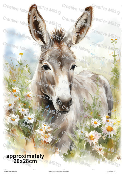 Donkey Among Daisies In Countryside Meadow Decoupage Rice Paper | RP5125