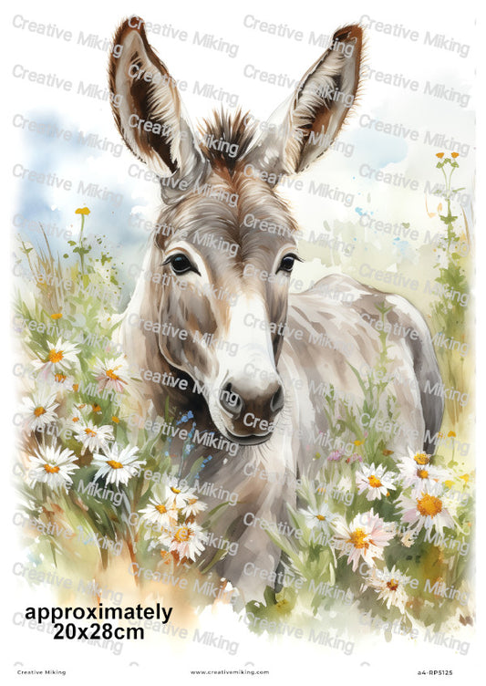 Donkey Among Daisies In Countryside Meadow Decoupage Rice Paper | RP5125