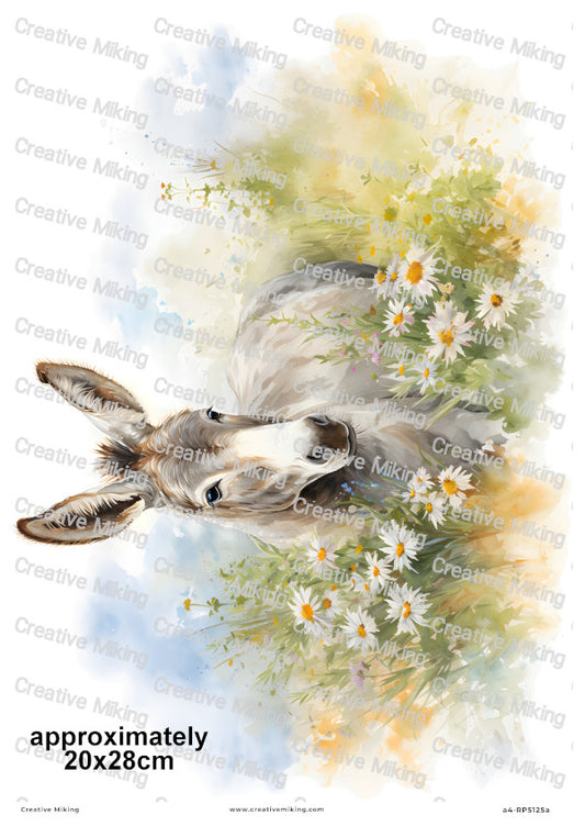Donkey Among Daisies In Countryside Meadow Decoupage Rice Paper | RP5125a