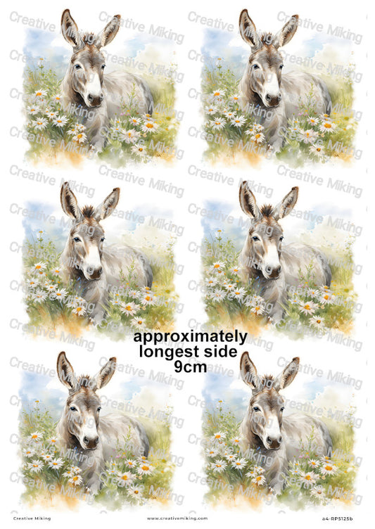 Donkey Among Daisies In Countryside Meadow Decoupage Rice Paper | RP5125b