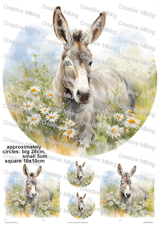 Donkey Among Daisies In Countryside Meadow Decoupage Rice Paper | RP5125c