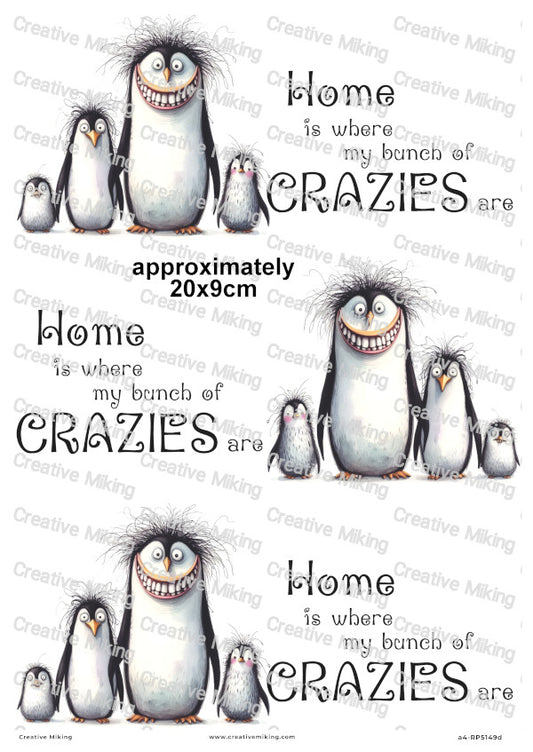 Penguin Funny Decoupage Rice Paper | RP5149d