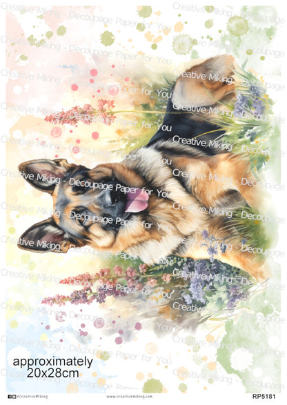 German Shepherd Dog Watercolor Splashes Decoupage Paper | RP5181