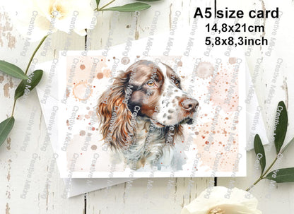 RP5222d - Springer Spaniel