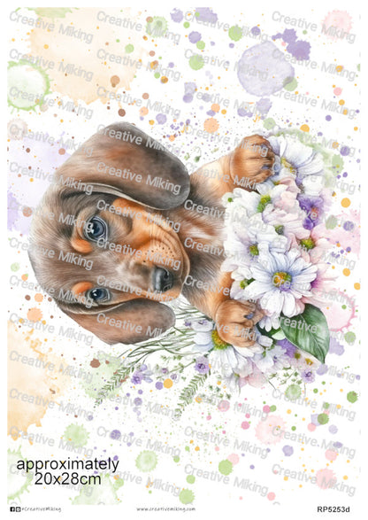 Dachshund Dog Portrait Among Flowers Watercolor Splashes Decoupage Paper | RP5253d