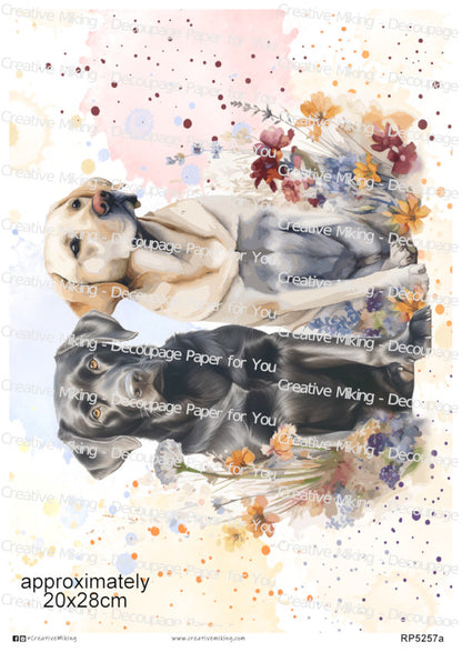 Yellow Labrador and Black Labrador Dogs Among Wildflowers Watercolor Splashes Decoupage Rice Paper | RP5257a