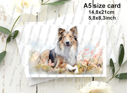 RP5283 - Shetland Sheepdog