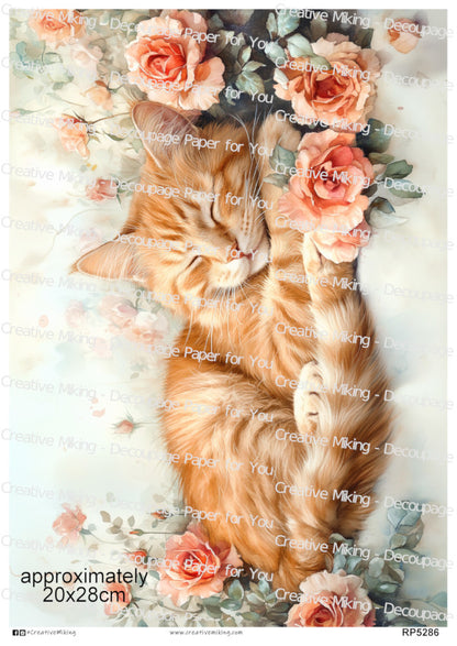 Ginger Tabby Cat Sleeping Among Roses Decoupage Rice Paper | RP5286
