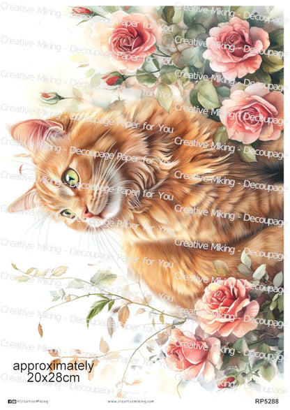 Ginger Tabby Cat Among Roses Decoupage Paper | RP5288