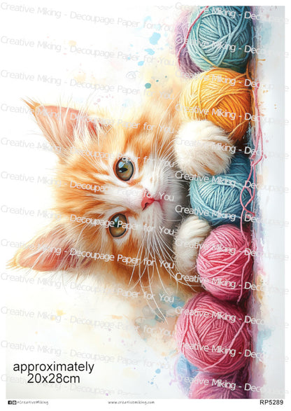 Ginger Tabby Cat Playing With Yarn Decoupage Paper | RP5289
