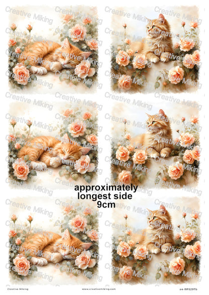 Ginger Cat In Roses Decoupage Rice Paper | RP5297b