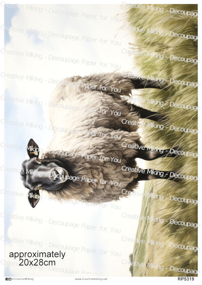 Lanark Sheep In Countryside Landscape Decoupage Paper | RP5319