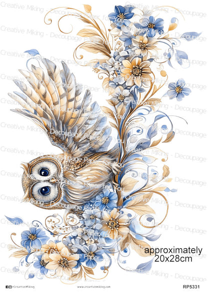 RP5331 - Owl