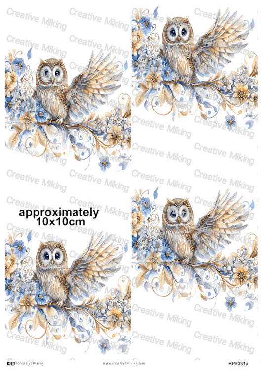 RP5331a - Owl