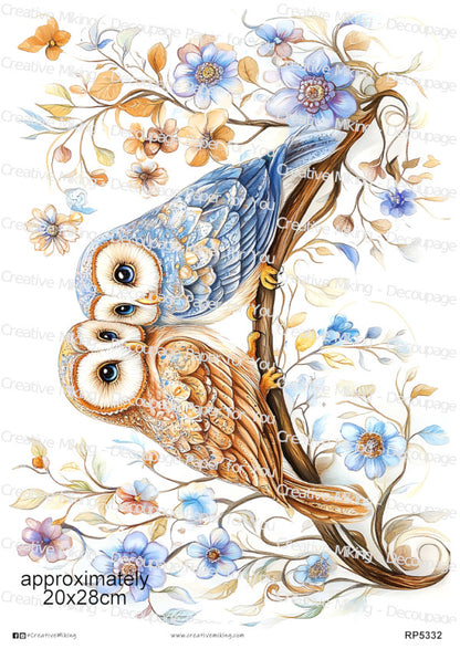 RP5332 - Owls
