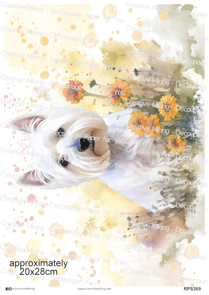 RP5369 - West Highland White Terrier