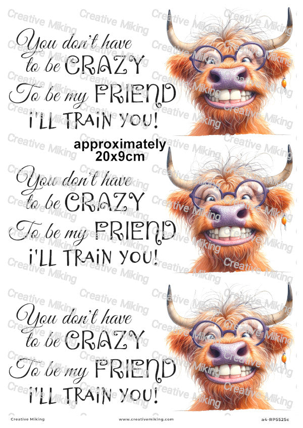 Highland Cow Funny Decoupage Paper | RP5525c