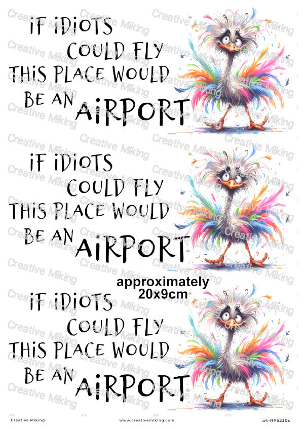 Ostrich Funny Decoupage Paper | RP5530c